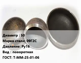 Заглушка стальная 50 Сталь: 09Г2С Ру16 поворотная ГОСТ: Т-ММ-25-01-06